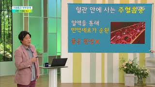 [목요특강] - ‘기생충과 부부관계’ -서민 기생충 박사- 2