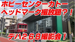 ホビーセンターカトー ヘッドマーク撮り放題？！デハ268撮影会！