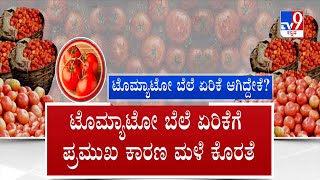 Tomato Price Hike: ಟೊಮ್ಯಾಟೋ ಬೆಲೆ ಏರಿಕೆ ಆಗಿದ್ದೇಕೆ? | #TV9A