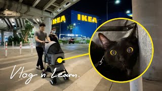 Take a Cat to Mega Bangna - IKEA [Vlog n Learn]