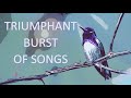 Triumphant Burst of Songs - Words of 'Abdu'l-Bahá, choral music by Lorraine Manifold