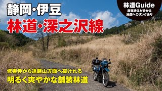 【静岡】林道深之沢線〜修善寺から達磨山方面へ抜ける爽やかな舗装林道