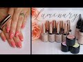 Luminary Nail Systems Review & Application!