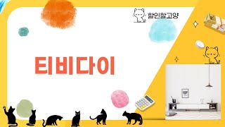 티비다이 리뷰: 최고의 선택? 사용 후기 및 추천 제품 비교!