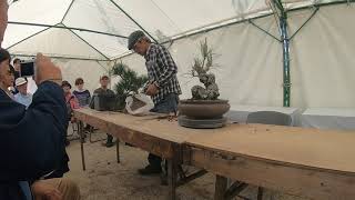 BONSAI　稲沢植木まつり２０１９GH019211