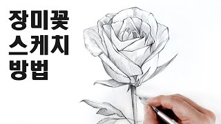 초보자를 위한 장미꽃 스케치 수업 / 꽃 잘 그리는 방법, 꽃그리기, 식물스케치 Draw flowers with a pencil