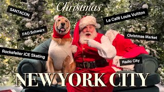 🎄CNBC Interviews My DOG on 5th Ave | EPIC NYC Christmas Experience that will make you HAPPY 😊