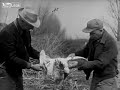 liveleak footage of iowa duck hunting in 1946