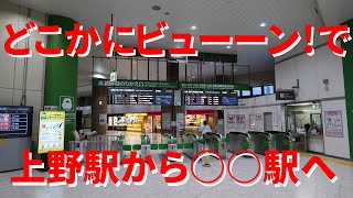 【通算3回目】どこかにビューーン!で○○新幹線の○○駅へ行ってきました