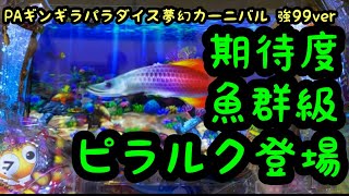 【パチンコ】第19戦PAギンギラパラダイス 夢幻カーニバル 強99verでピラルク出てきたけど早くして欲しかった【10,000実践】