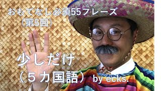 おもてなし必須55フレーズ（第5回）少しだけ