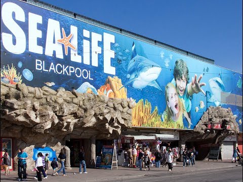 Sea Life Centre Blackpool - June 2017 Sea Life Centre Blackpool - June 2017