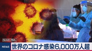 世界コロナ感染6,000万人 米１日の死者数５月の水準に（2020年11月26日）