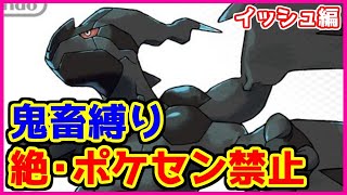 【鬼畜縛り】絶・ポケモンセンター禁止マラソン～イッシュ編～#19【ポケモンブラック・ホワイト】