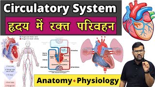 हृदय में रक्त परिवहन - Circulatory System | Cardiac Cycle | Heart | Cardiovascular System| Blood