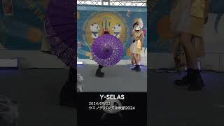 Y-SELAS ウエノデ.パンダ中秋節2024 - Panda Expo