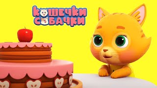 Суперпремьера! КОШЕЧКИ-СОБАЧКИ | День рождения Оскара 🎁 1 серия