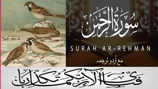 Surah rehman 55 |with urdu translation |سورہ رحمن|explanation quran with amazing visualization
