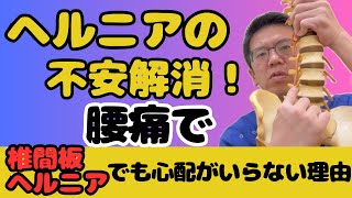 腰の痛みはヘルニアが原因？腰椎椎間板ヘルニアと症状について｜今治市　星野鍼灸接骨院