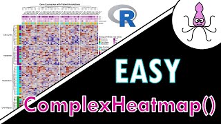 EASY Heatmaps with ComplexHeatmap() in R