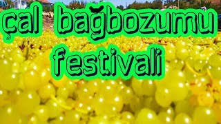 BAĞBOZUMU KÜLTÜR VE SANAT FESTİVALİ - ÇAL - DENİZLİ - Denizlili Gezgin