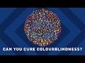 Can You Cure Colourblindness? | Earth Science