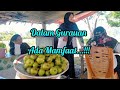 Manfaat buah ara/loa‼️baik untuk kesehatan.