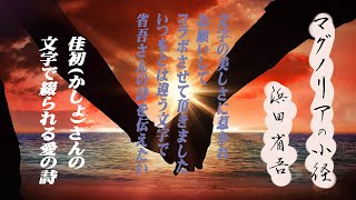 マグノリアの小径 　浜田省吾　佳初（かしょ）さんの美文字