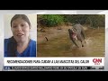 médica veterinaria explica los cuidados que requieren las mascotas ante altas temperaturas