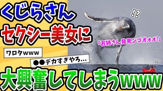 【2ch動物スレ】散歩中の「くじらさん」が「セクシーなお姉さん」を発見した結果www