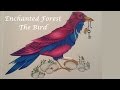 Color Along | Bird | Enchanted Forest by Johanna Basford