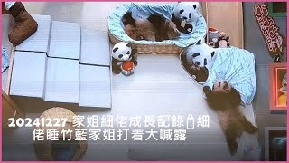 20241227 🐼HK Panda Twins 家姐細佬🌼135 days🐾成長記錄🍼細佬睡竹藍家姐打着大喊露