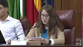 XVI Pleno Infantil Unicef