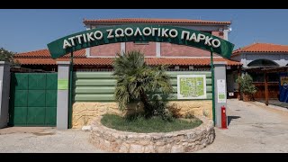 Αθήνα 2. Επίσκεψη στο Αττικό ζωολογικό πάρκο (vlog).