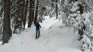 Slidžių alpinizmas “Mont de l’Arpille”