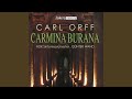 Carmina Burana: III. Cour d'amours: Stetit puella