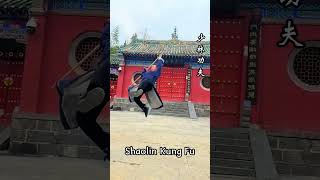 【少林棍法】棍影翻飞如腾龙力贯千钧势难当#kungfu #shaolin #wushu #shaolinkungfu  #martialarts