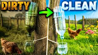 Primitive Water Filter That Works Shockingly Well