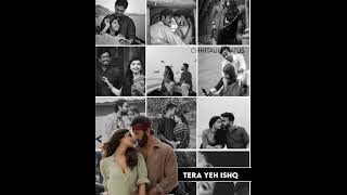 Tera Ye Ishq Mera Fitoor Song  New Viral Photo Moving & Lyrics Status Video Editing In Alight Motion