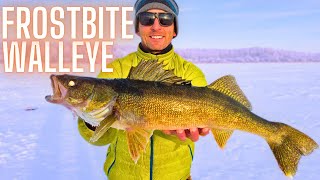 WALLEYE: Testing Frostbite Tackle Ice Fishing (Meathead Tungsten Jig - Dinner Bell)