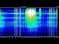 Графики Резонанса Шумана во всех странах разные но ОНИ ЛУЧИ присутствуют везде