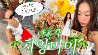 혼자 치앙마이.. 개좋잖아...?😳 인생 팟타이 먹고 술 조지러 다니는 무계획 혼자여행💖