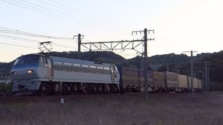 JR貨物 EF66形早朝の貨物2本 EF66-133　EF66-113