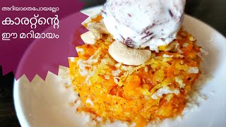 ഒരു കാരറ്റ് മതി ഈ സൂപ്പർ സാധനമുണ്ടാക്കാൻ || Carrot Dessert || Easy Healthy Food For Kids