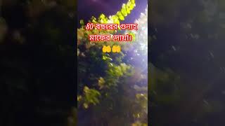 80 বছরের গুনাহ মাফের দোয়া। #গুনাহ_মাফের_দোয়া #পাপ_মুক্তির_আমল #ইসলামিক_ভিডিও #কোরানী_আমল#সঠিক_পথ।