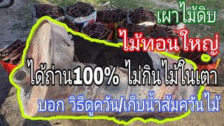 วิธีทำเตาเผาถ่านเผาถ่าน ไม้ดิบ ไม้ใหญ่ ด้วยเตาเผาเก่าถัง 200 ลิตร #วีถีดูควัน เก็บน้ำส้มควันไม้ #อฝ