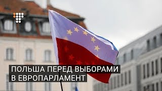 Польша перед выборами в Европарламент