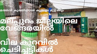 farm store.whole sale ആയി ചെടി ചട്ടികൾ. ചെടികൾ. തയ്യുകൾ. വളരെ വില കുറച്ച്  malappuram. vengara