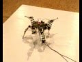 hexapod.avi