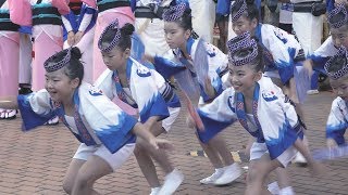 「北浦和阿呆連」組踊り - 第41回北浦和阿波おどり大会（2019.9.7）